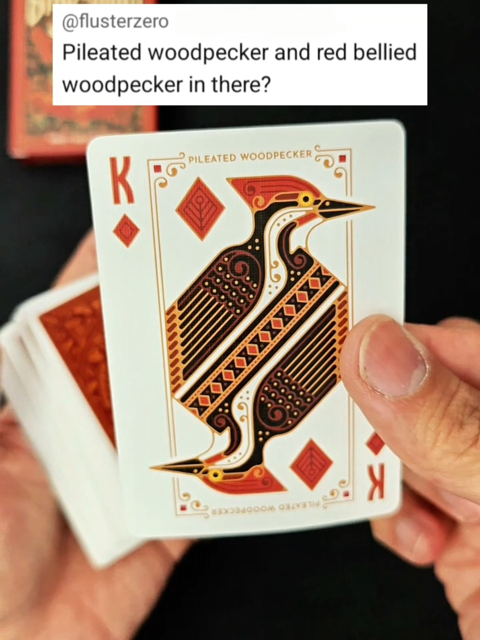 What other birds can you name? 