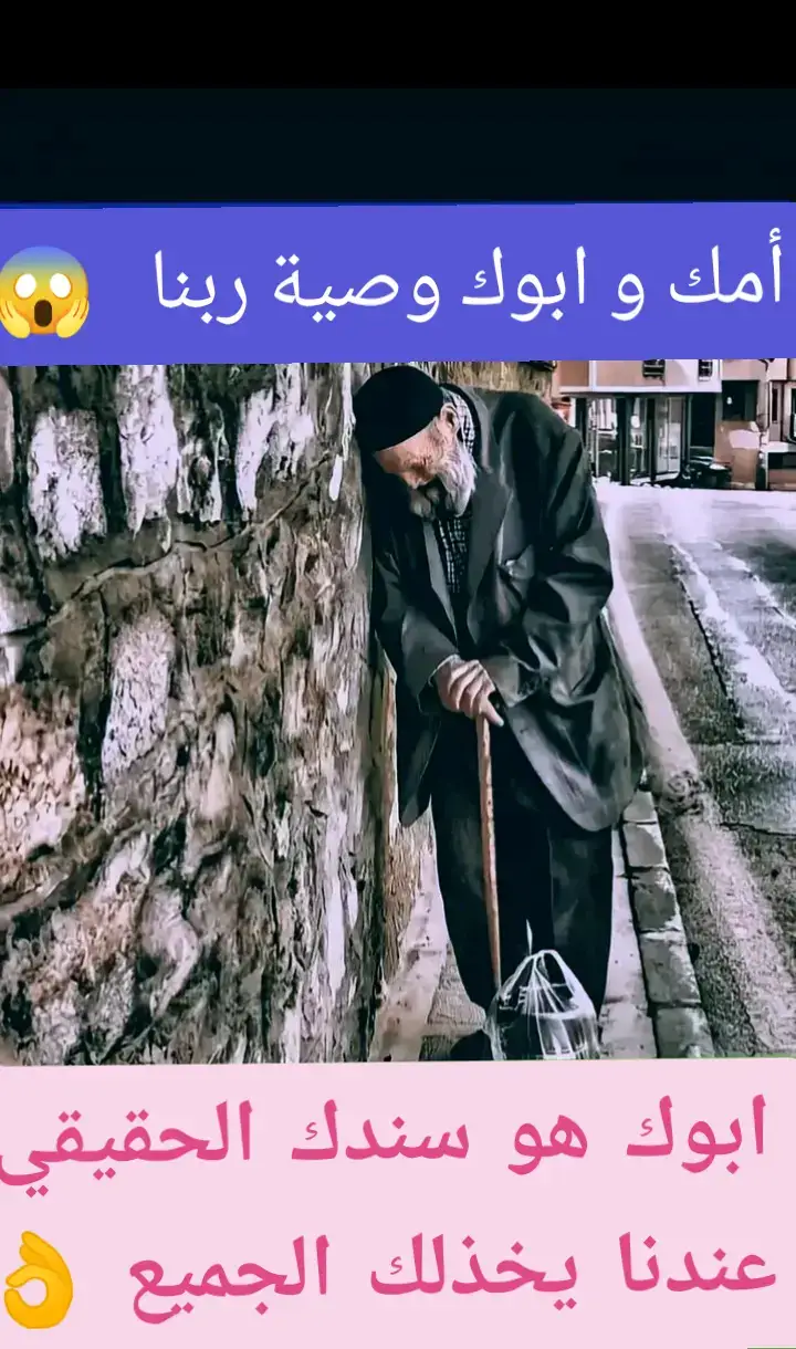 #creatorsearchinsight #اقتباسات_عبارات_خواطر #احكام_واقوال #ستوريات #مواقف 