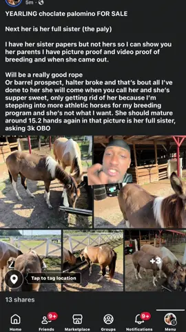 SOMEONE COME BUY KATANA PLEASE‼️#greenscreen 
