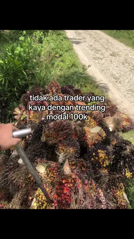 faktaa🙌🏻#forex #xauusd #fypシ #trending #trader 