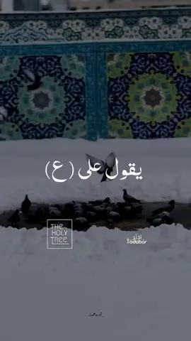 #اليمن #trending #فلسطين🇵🇸الاردن🇯🇴سوريا🇸🇾العراق🇮🇶لبنان🇱🇧 #fyp #غزة_العزة🇵🇸 