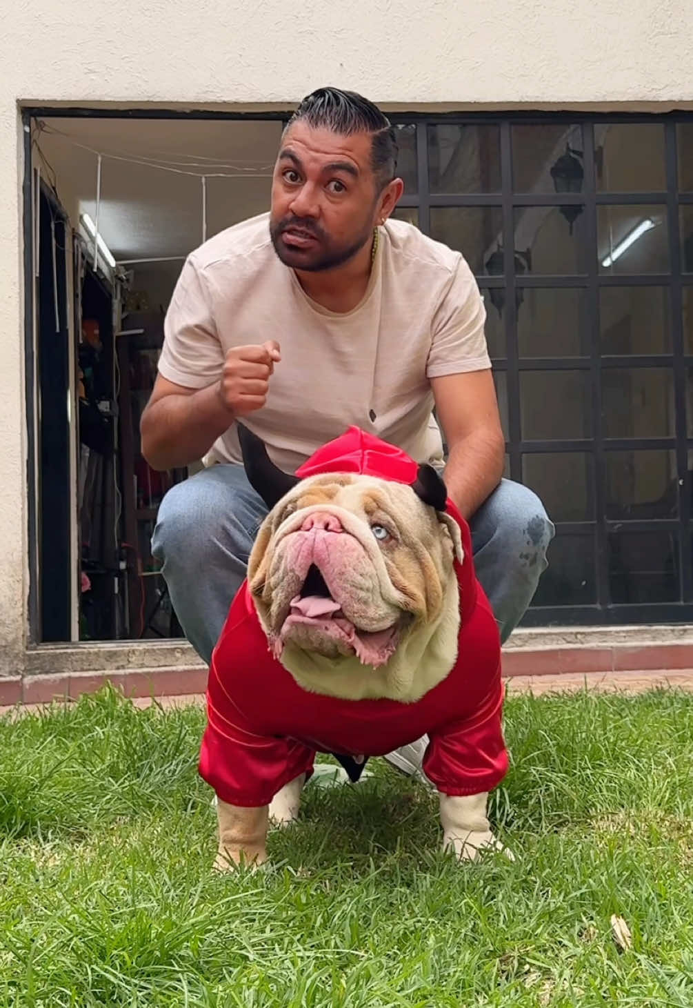 Si te tocara la puerta vestido así… ¿qué le darías? 😭🍗🎃 #polar #perrodexavi #fyp 