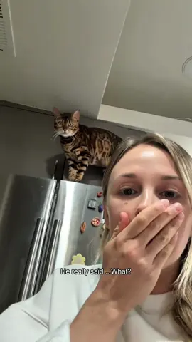Cat understands English🧐😺#cat #catsoftiktok #fyp #catlover #funnyvideos 