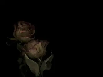 #fyppppppppppppppppppppppp #ideavilariño #vent #fypシ゚ #poem ?