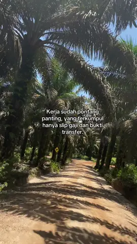 Hidup macam apa ini 😁#sawitkalimantan🌴🌴🇮🇩 #fypppppppppppppppppppppppp #kerani #kulisawit 