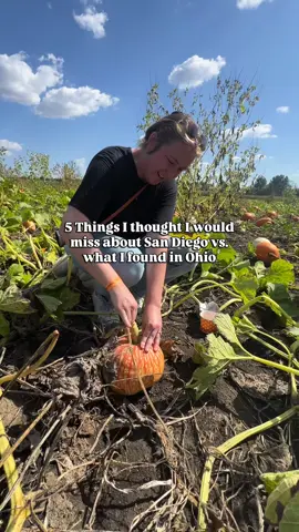 Of course no city will be exactly like San Diego but I’ve been pleasantly surprised by the things we’ve found to create new routines and find new favorite foods! 🥰 BUT Columbus I am beggggging you to tell me where the 50 cent donuts are?! 😭 I haven’t been able to find a classic cake donut for any less than $2 FOR PLAIN GLAZE!! … otherwise this is my only complaint besides the lack of authentic burritos 😂 Anyways, hi I’m Megan! My best friends call me Meg or Megs and I am a California girl turned Ohio transplant showing you that everywhere is cool if you have some imagination and Google skills! Hope you stick around to travel more of the Midwest with me and see how we make Ohio home! 🤗 #MidwestBlogger #614Columbus #DowntownColumbus #BuckeyNation #CaliforniaGirl