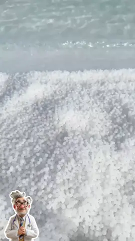 Tại sao không nên dùng muối thô mà bạn chưa biết...  #doctordii #suckhoe #bothucvat 