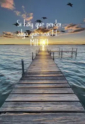 Miedo!                                                El Poder De Dar El Primer Paso, Aún Con Miedo.✍️ #miedo  #superacion #fypage #crecimientopersonal #parati  ✍️💯🌸🩷⭐️ 😘🌸