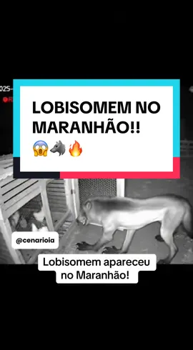 Agora ferrou! Até no Maranhão tá aparecendo! 😱🐺 #viralvideos #fy #lobisomem #interior #maranhao 