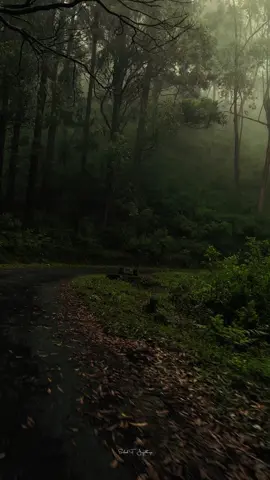 Ceylon nature 💚 #nature #peace #travel #fyp #viral 