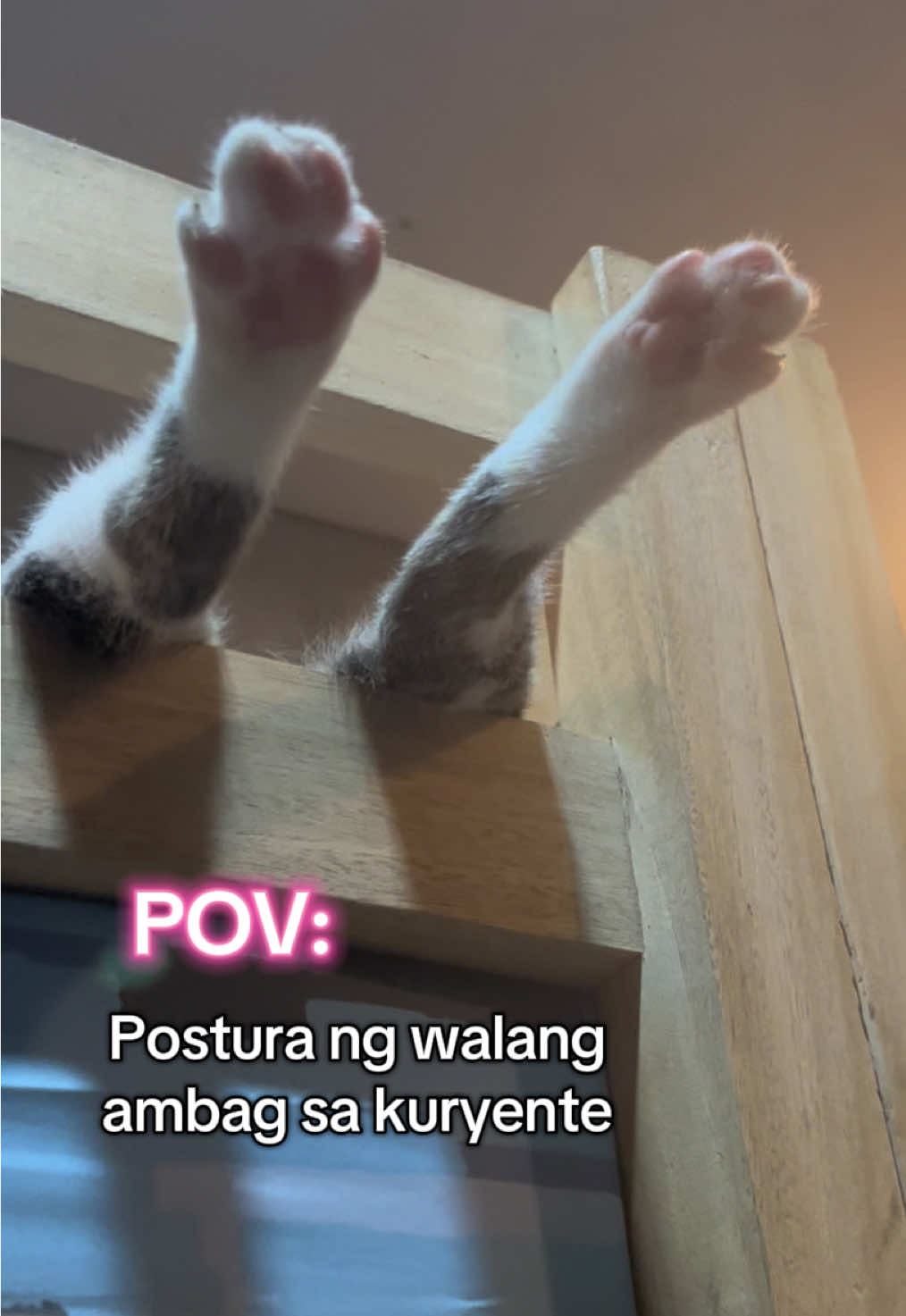 Sarap lang ng buhay ni Ziggy #catlovers #catsoftiktok #fyp #adorablecat #cutecat 