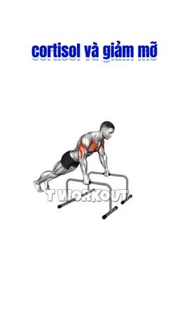 Cortisol và Giảm mỡ | T Workout  #calisthenics #tworkout #gym 