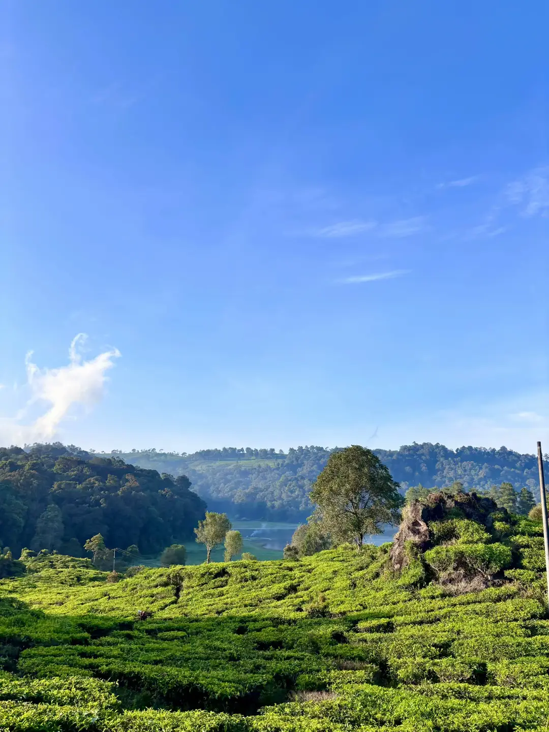 Setiap sudutnya indah🥹 #fyp #bandung #wisatabandung #alam #situpatenggang #ciwidey 