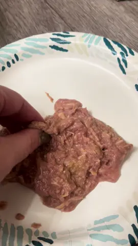 Time to get messy! Trust the process! #sphynxkittens #weaning #babysphynx #cats #asmr