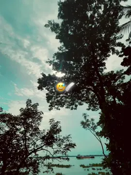 -/ তাকে যদি একবার বুঝতে পারতাম বুকে কেমন যে লাগে 🥺💔 @✨ᴛᴜʜɪɴ-ɪꜱʟᴀᴍ🐼  #foryou #unfrezzmyaccount #tiktok #foryoupage #trending @TikTok @TikTok Bangladesh 