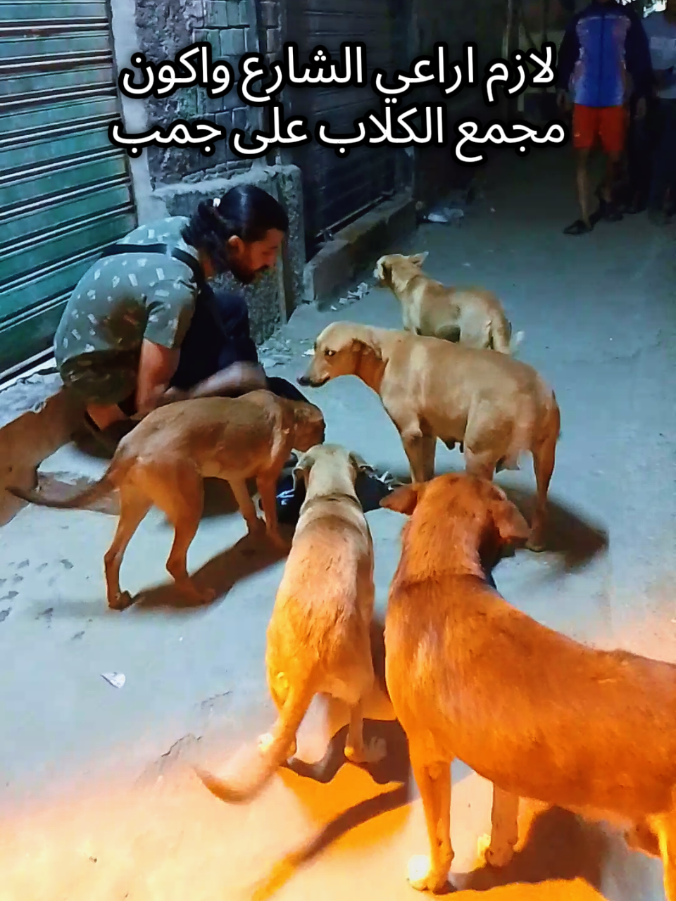 افضل طريقة لأطعام كلاب وقطط الشارع 🐕❤️ #الرفق_بالحيوان_💙💛 #كلاب_الشوارع_امانه #اطعام_الحيوان #السعودية_الكويت_قطر_الإمرات_سلطنة_عمان #المانيا_السويد_النمسا_النروج_دينيمارك 