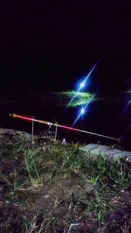 12 naik  3 lucut #kolampancingwakbani #mancingkolam #ตกปลา 