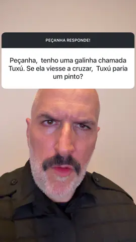 Peçanha e a galinha Tuxú…