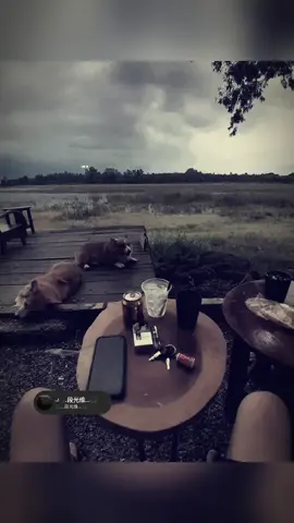 不论做什么事，都要相信你自己，别让别人的一句话将你击倒。 #tamtrangbuon #suhuong #xuhuongtiktok #uocduoclenxuhuong #xuhuongtiktok2025🥰 