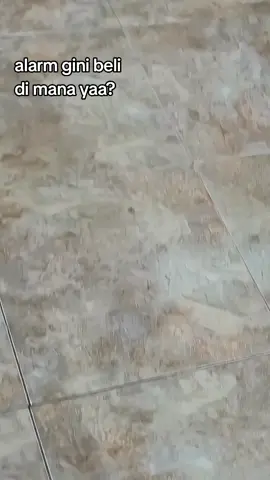 kok jadi gemoy gini😱 #lexxi #vrio110techno #foryoupage #variomodifikasi 