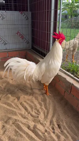 3k1 đồ sịn đó 🥰🏆