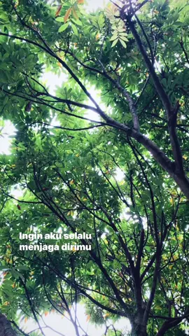 #bukanrayuangombal#fyp 