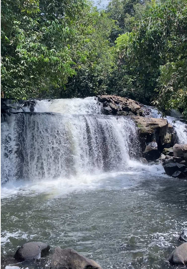 nature of borneo🍃 #kalimantan#riam#riamjugan#borneo#bengkayangkalbar 