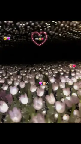 #Viralparati#🥺💗🧸  #delen❤️👈🥺 