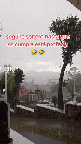 🤭🤭🤣🤣 