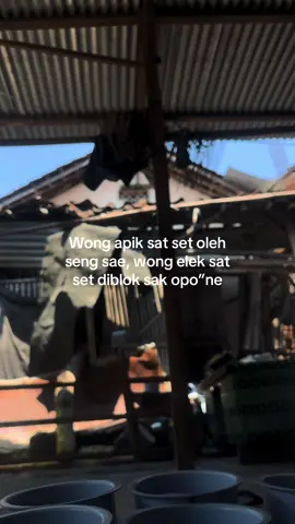 Bener ora cah #foryou #fyp #zxycba 