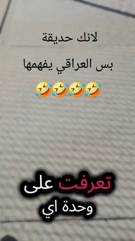 #🤣🤣🤣🤣 بس العراقي يفهما#🤣🤣🤣🤣 