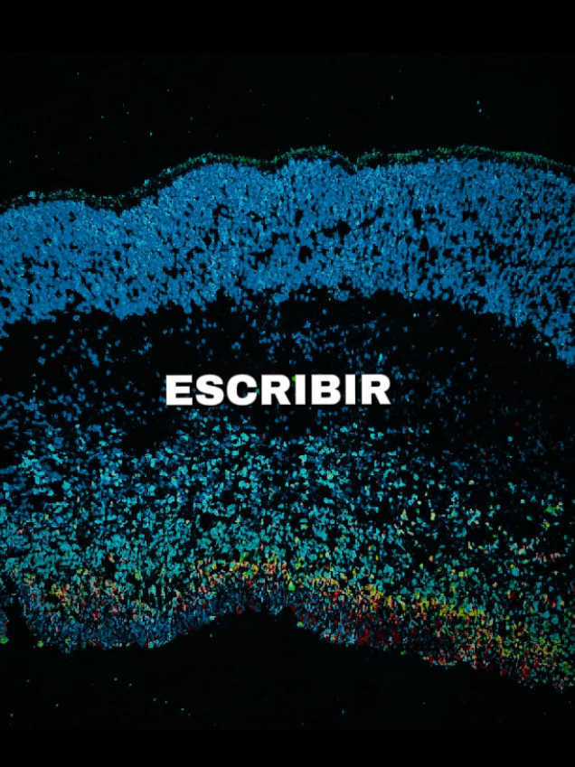 Situacion #58  #escribir #escritura #libros #psicologia 