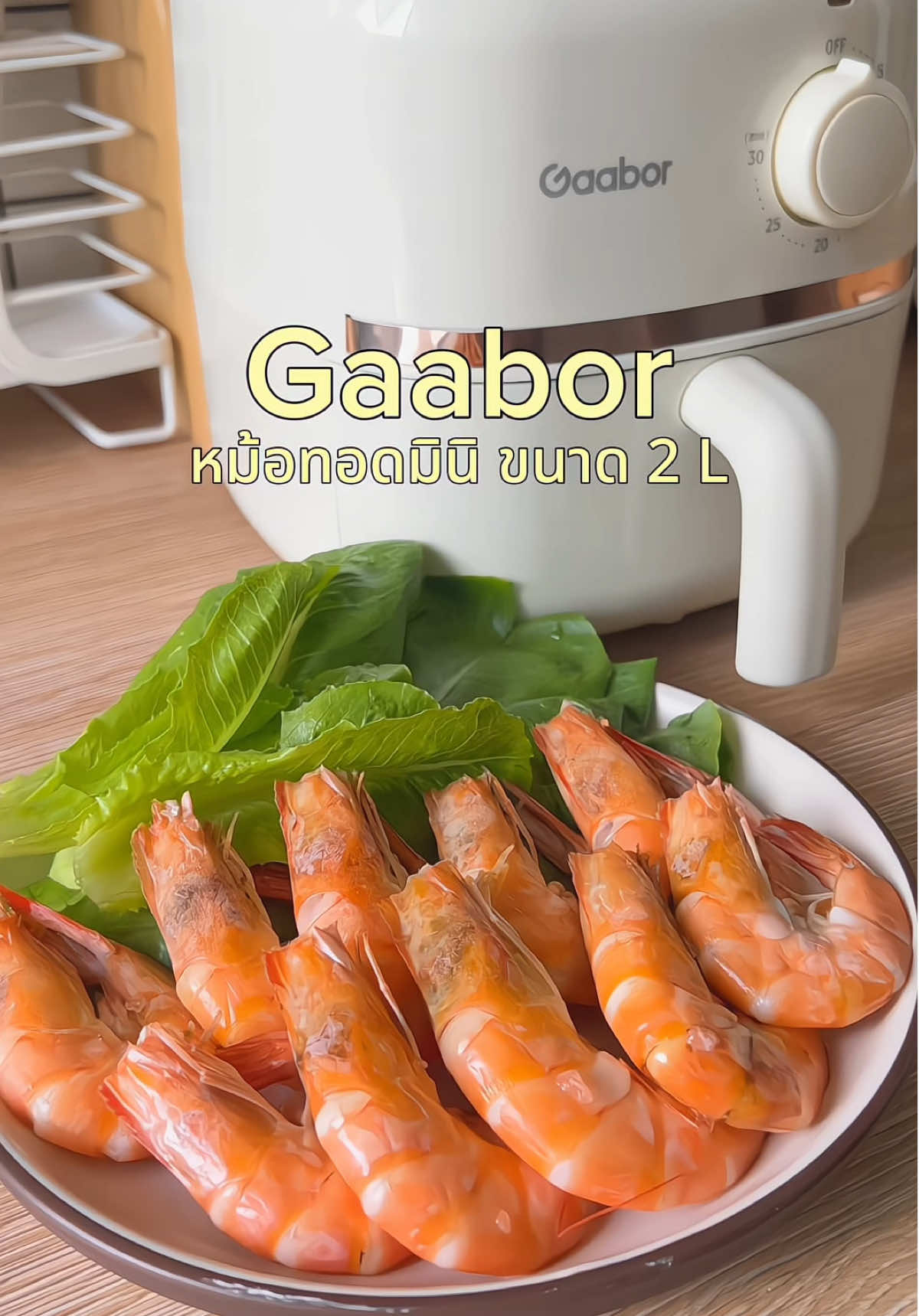 🍟 หม้อทอดไร้น้ำมัน 2 ลิตร ดีไซน์กะทัดรัด ฟังก์ชันครบ ใช้งานง่าย ทอด อบ อุ่น ได้ในเครื่องเดียว กินเพลินแบบไม่กลัวอ้วน! #หม้อทอดไรน้ำมัน #หม้ออบลมร้อน #Gaabor #ของใช้ในครัวเรือน #ป้ายยาtiktok 