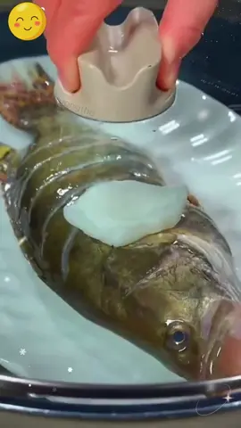 Giới khoa học đứng ngồi vì món này