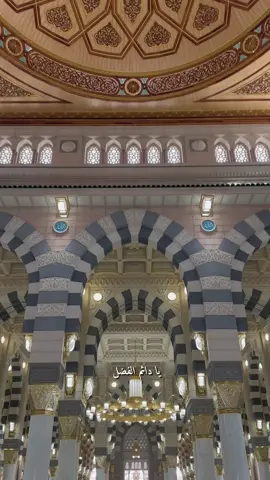 #ثواب_قراءة_دعاء_يادائم_الفضل 🕊️🖤 #نسألكم_الدعاء_بالشفاء_لمرضانا_ومرضى_المسلمين🤲🏻 #السلام_عليك_يارسول_الله💚 #صباح_الخير💕