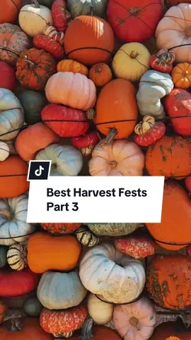 For Part 3 of the series, we’re going to Fir Point Farms! This is such a great fest with LOADS of activities! Here’s the details👇 🗓️Happening NOW - 10/30 📍14601 Arndt Rd Aurora, OR 97002  ⏰Wed-Fri 10am-5pm: farm store only / Sat-Sun 10am-5pm: harvest fest  🤩FREE: admission, parking, petting zoo  🎟️All day wristbands provide for the best value but most individual activities are $7 each. Wristbands are $30. If purchasing 4 or more they are $25 each. Weekend Activities: kids zone, polka dot express, bounce houses, art center, hayrides, giant slide, corn maze, paint ball shooting + more!  The art center is such a fun touch, the decor and photo ops are so cute and the farm store / bakery and deli have many delicious options! I feel like this one is so underrated! Have you been to Fir Point Farms yet?!  . #pumpkinpatch #harvestfestival #oregonfarm #oregoncheck #fallactivities     