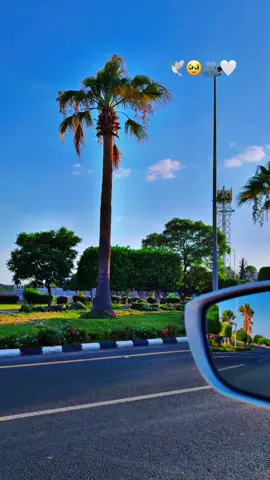 والله ان قلبي معك..🕊️🫂🥹🤍🥹🫂🕊️🌹🕊️#اكسبلور #fyp 
