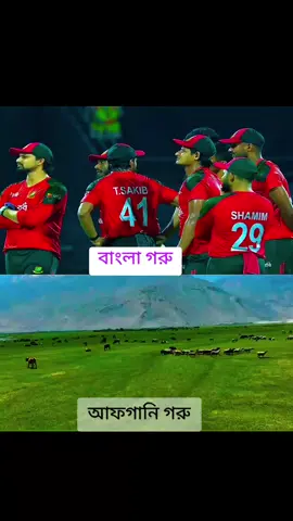 #cricket #cricketlover #trending #vairal #bangldeshcricket 