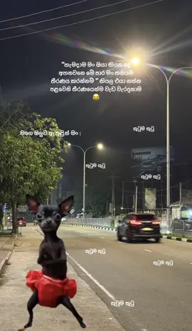 #funk#😂😂😂 