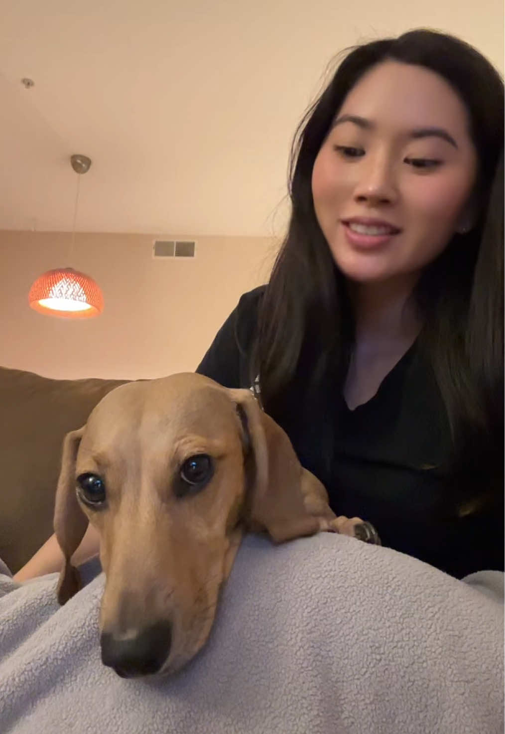 #doxiemom #dachshundsoftiktok 