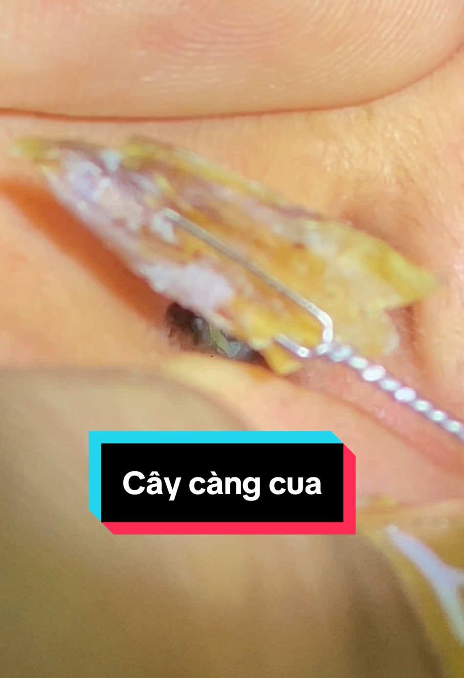 Trả lời @cậu bé vàng em mới nhổ răng nên mấy hôm nay k lồng tiếng đc ạ, cả nhà xem đỡ nha#raytai #xuhuong #tronghoanbarbershop 
