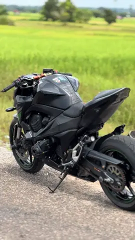 #z800 