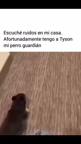 #tiktokhumor #fyppppppppppppppppppppppp #fytシ 