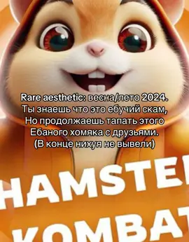 #rare #aesthetic #rareaestetic #hamsterkombatairdrop 