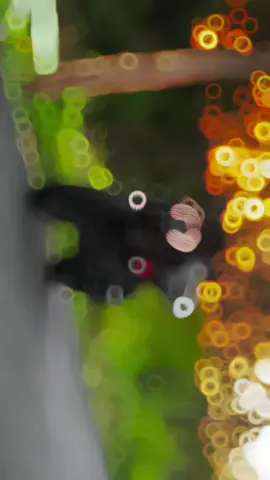 Abhi Mere Pas Nahi Ho To Kya Hua#Ktmduke39Tgen2 #goviral #Ktmxrehan #cenematic #fyppppppppppppppppppppppp 