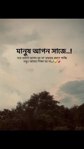 মানুষ আপন সাজে.. তবে কেউ'ই আপন হয় না' বারবার প্রমাণ পাচ্ছি তবুও আমার শিক্ষা হয় না..!😅❤️‍🩹 #newid #followme #fypシ゚ #viral #bdtiktokofficial @TikTok Bangladesh @〆SɨɎȺM⚔VȺɨ࿐ 