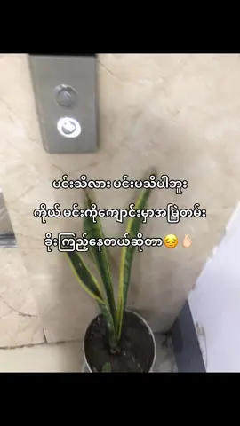 ချစ်ဆျာလေးဆိုတော့ကြည့်မဝ🗿🫰🏻