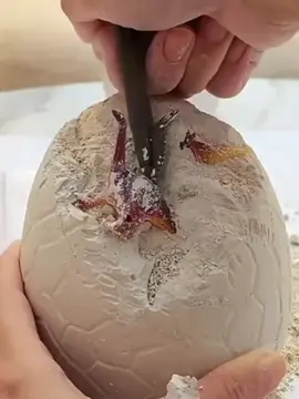 Đồ chơi khảo cổ học khám phá hoá thạch khủng long gồm 1 trứng siêu to có 12 con ##viral##kids9697##dochoitreem##dochoi##mohinh@@Anh thợ cọc 👷🏼