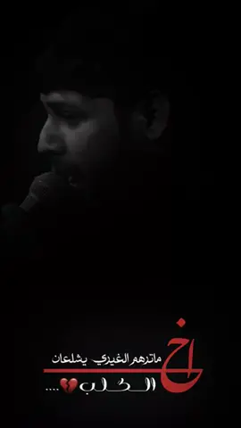 #سيد،_فاقد_الموسوي #سيد،_فاقد_الموسوي #بصره_بغداد_ميسان_ذي_قار_كل_المحافظات 