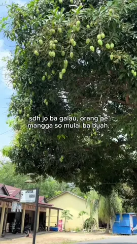#fypgorontalo #gorontalo #gorontalopunya 